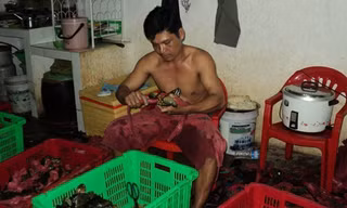 Cua biển Cà Mau có chất lượng tốt, thịt thơm ngon có giá bán 250.000 - 270.000 đồng/kg. 