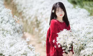 Hot girl Sài thành đẹp như tranh vẽ bên cúc họa mi Hà Nội