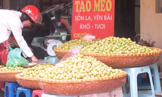 Theo người bán, thực tế táo mèo nhỏ, bị sâu nhiều mới có mức giá 17.000 đồng/kg bán tại Hà Nội. 