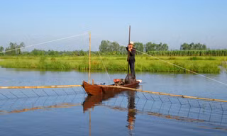 Người làm nghề đẩy côn có thu nhập tương đối ổn định. Ảnh: Ngọc Trinh.
