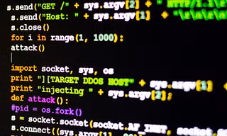 Chỉ cần trả tiền trên Webstresser, người không rành công nghệ cũng có thể đánh sập một trang web.