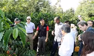 Ông Lê Hồng Thành (thứ hai bên trái qua) giới thiệu vườn cà phê canh tác theo quy chuẩn cà phê quốc tế 4C của mình với ông Lương Văn Tự, Chủ tịch VICOFA và đoàn công tác quốc tế