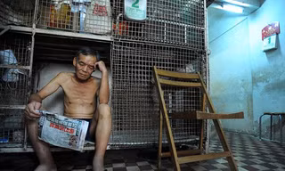 Phận người trong những lồng sắt ở Hong Kong