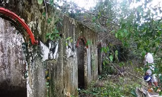  Bây giờ, khu biệt thự nuôi chó đã trở nên hoang tàn, đổ nát.