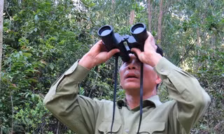 Tú "voọc" quan sát đàn voọc.