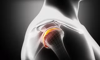 Các chuyên gia Mỹ lần đầu nuôi thành công sụn người đủ chức năng từ tế bào gốc - Ảnh: Shutterstock