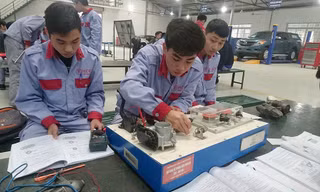 Các trường đào toạ nghề hoạt động ngày càng hiệu quả, tuyển sinh được cải thiện từng năm, và có tới hơn 85% học viên nghề ra trường có việc làm với thu nhập tốt.