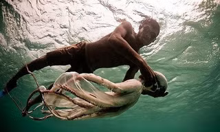  “Người cá” Bajau có thể lặn sâu 70m không cần bất kỳ thiết bị bảo hộ nào