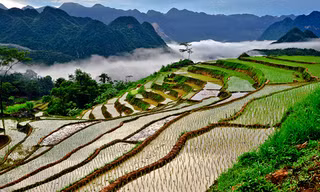Vẻ đẹp ruộng bậc thang xứ Thanh