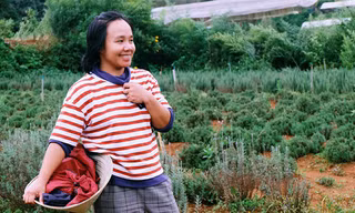 Miên hiền lành và chân chất như một người nông dân thực thụ, ít ai biết rằng Miên sinh ra và lớn lên ở thành phố