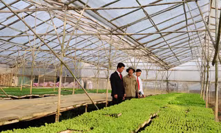 Agribank – Vì tương lai xanh