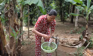 200 hộ dân tại An Khê, Quảng Trị vui mừng đón nước sạch về