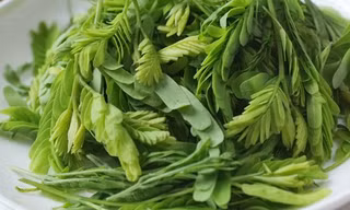 Các bệnh ngoài da một đi không trở lại với nắm lá me