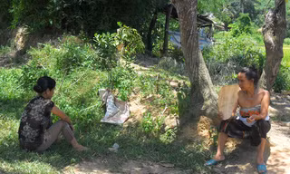 Vật vờ với nắng nóng, oi bức