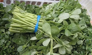 Trị mụn bọc, mụn trứng cá siêu nhanh bằng các loại rau vườn nhà