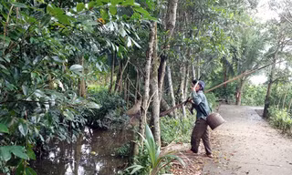 Ông Đoàn có đến 30 năm trong nghề săn tắc kè. 