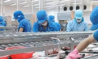 Người đưa MC Fish Việt Nam 'vượt biển'