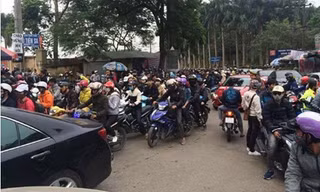 Dân phượt kéo đến ngắm hoa dã quỳ, Ba Vì “thất thủ“