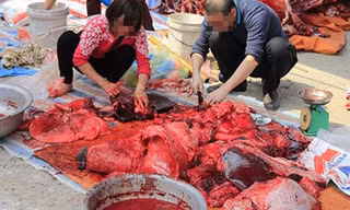 Rùng mình cảnh đánh, ăn tiết canh thản nhiên giữa Thủ đô