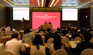 Nam Long sắp trở thành công ty tư nhân đầu tiên bán đấu giá cổ phần