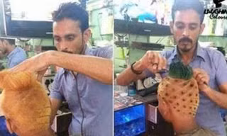 Cư dân mạng 'náo loạn' vì chàng trai ‘Đầu dứa’