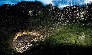 Hàng triệu con dơi đang bay ra khỏi hang Bracken, Texas, Mỹ. Ảnh: Abbott Nature Photography.