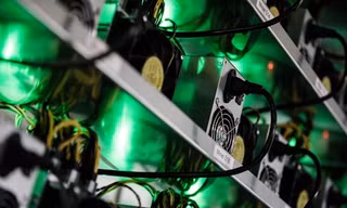 Đào NEM không cần máy tính cấu hình mạnh như Bitcoin. Ảnh: Bloomberg