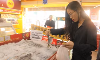 Chị Trang tranh thủ đi từ sớm để thỏa sức chọn mẻ cá tươi ngon nhất