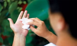 Những mầm bệnh ẩn náu đằng sau giấy vệ sinh kém chất lượng
