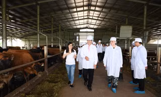 Chính nhờ sự hợp tác khắng khít giữa Sữa Cô Gái Hà Lan và các đối tác mà dự án ngày càng phát triển, tạo lập nên những giá trị tốt đẹp cho cả cộng đồng