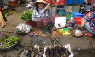 Từ sáng sớm, nhiều tiểu thương mở sạp nướng cá lóc bán.