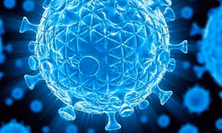 Các chủng HIV hiện đang biến hóa ra nhiều hình thái khác nhau với tốc độ rất nhanh