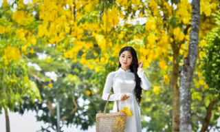 'Hot girl tráng bánh mướt' xứ Nghệ đẹp dịu dàng dưới tán hoàng yến