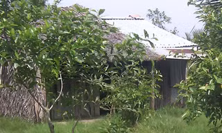 Ngôi nhà rách của mẹ con bà Nhị.