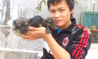 8X Việt thành đại gia nhờ nuôi loài chó đắt nhất hành tinh