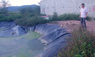 Hố biogas của trang trại lợn, nơi em Huyền gặp nạn. Ảnh: Đức Hùng