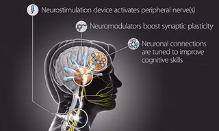 Chương trình TNT có thể giúp binh sĩ Mỹ học hỏi nhanh hơn. Ảnh: DARPA.