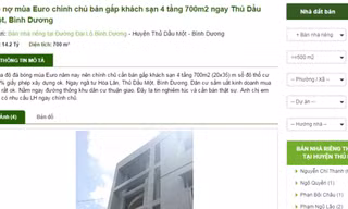 Một rao bán khách sạn được đăng với lý do thua độ bóng đá mùa Euro.