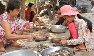 Do thời gian Tết rơi vào mùa nắng nên lượng nhái hiện nay rất khan hiếm