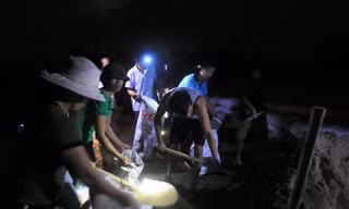 Mục kích hàng trăm người dầm mưa hộ đê ở Hà Nội trong đêm