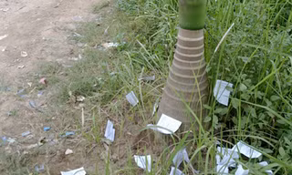 'Phao' thi vẫn xuất hiện