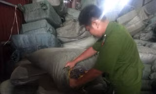 Tạm giữ 70 tấn nguyên liệu thuốc bắc nghi nhập lậu