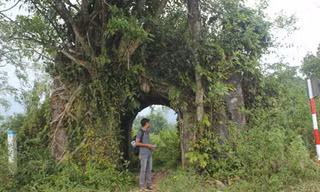 Cổng thành Thọ An