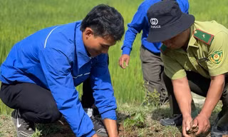Kon Tum trồng hàng trăm nghìn cây xanh nhân dịp Tết trồng cây