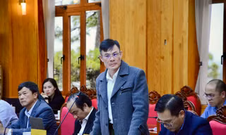 Vụ bò sữa chết hàng loạt ở Lâm Đồng: 129 hộ chấp nhận bồi thường