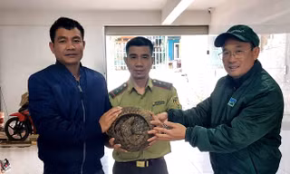Đi thể dục vào sáng sớm, người dân phát hiện con vật quý hiếm bên lề đường