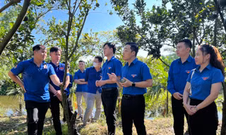 Nhiều mô hình khởi nghiệp của thanh niên Kon Tum thu trái ngọt