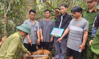 Một công ty lâm nghiệp bị 'sờ gáy'