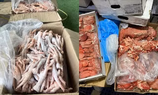 Thu giữ hơn 2,5 tấn thực phẩm đông lạnh không rõ nguồn gốc ở Đà Lạt