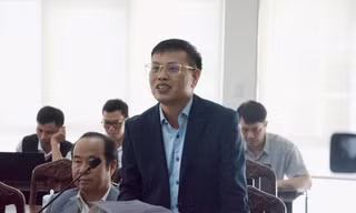 Nguyên nhân vụ đàn bò sữa chết ở Lâm Đồng